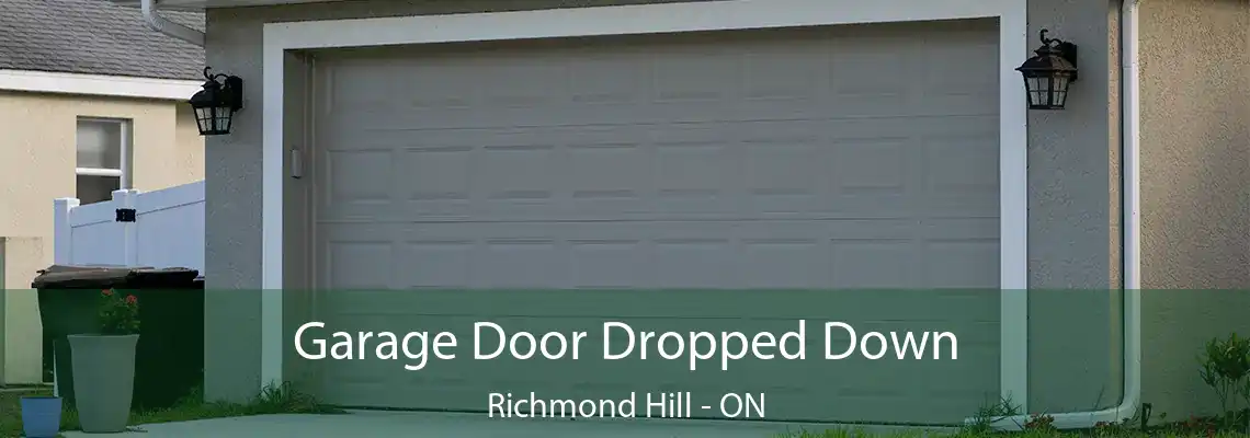 Garage Door Dropped Down Richmond Hill - ON