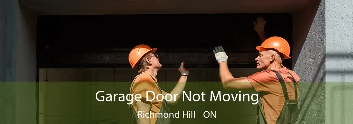  Garage Door Not Moving Richmond Hill - ON