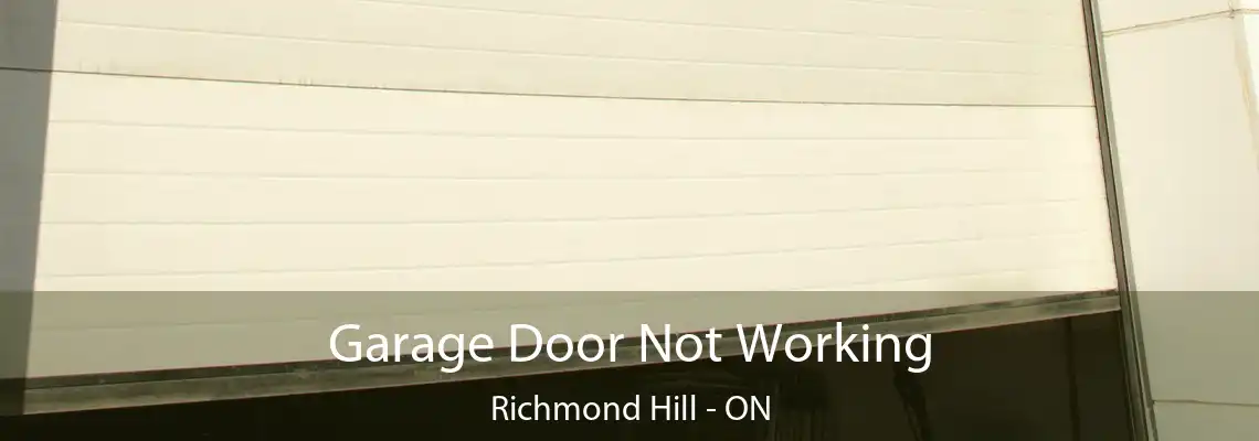 Garage Door Not Working Richmond Hill - ON
