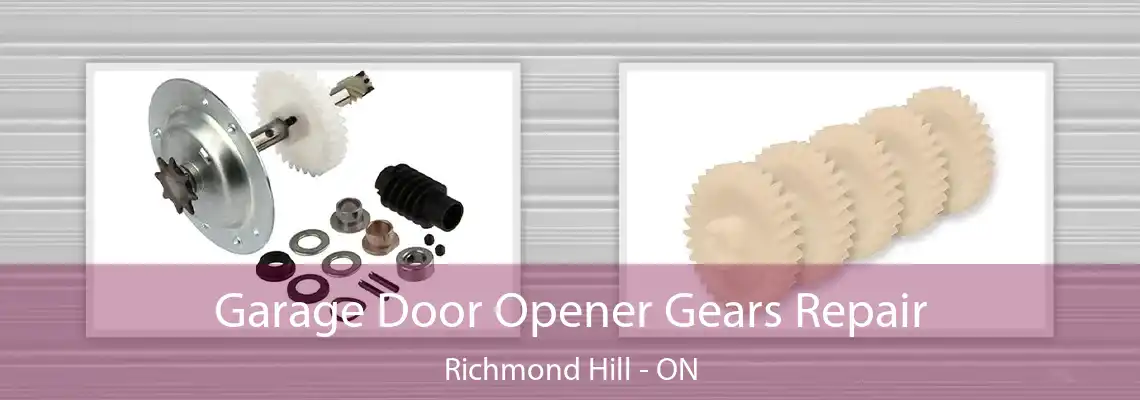 Garage Door Opener Gears Repair Richmond Hill - ON
