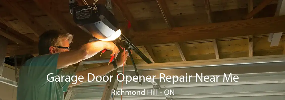  Garage Door Opener Repair Near Me Richmond Hill - ON