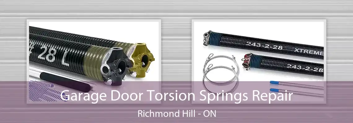 Garage Door Torsion Springs Repair Richmond Hill - ON