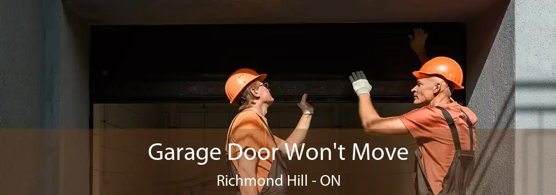 Garage Door Won't Move Richmond Hill - ON